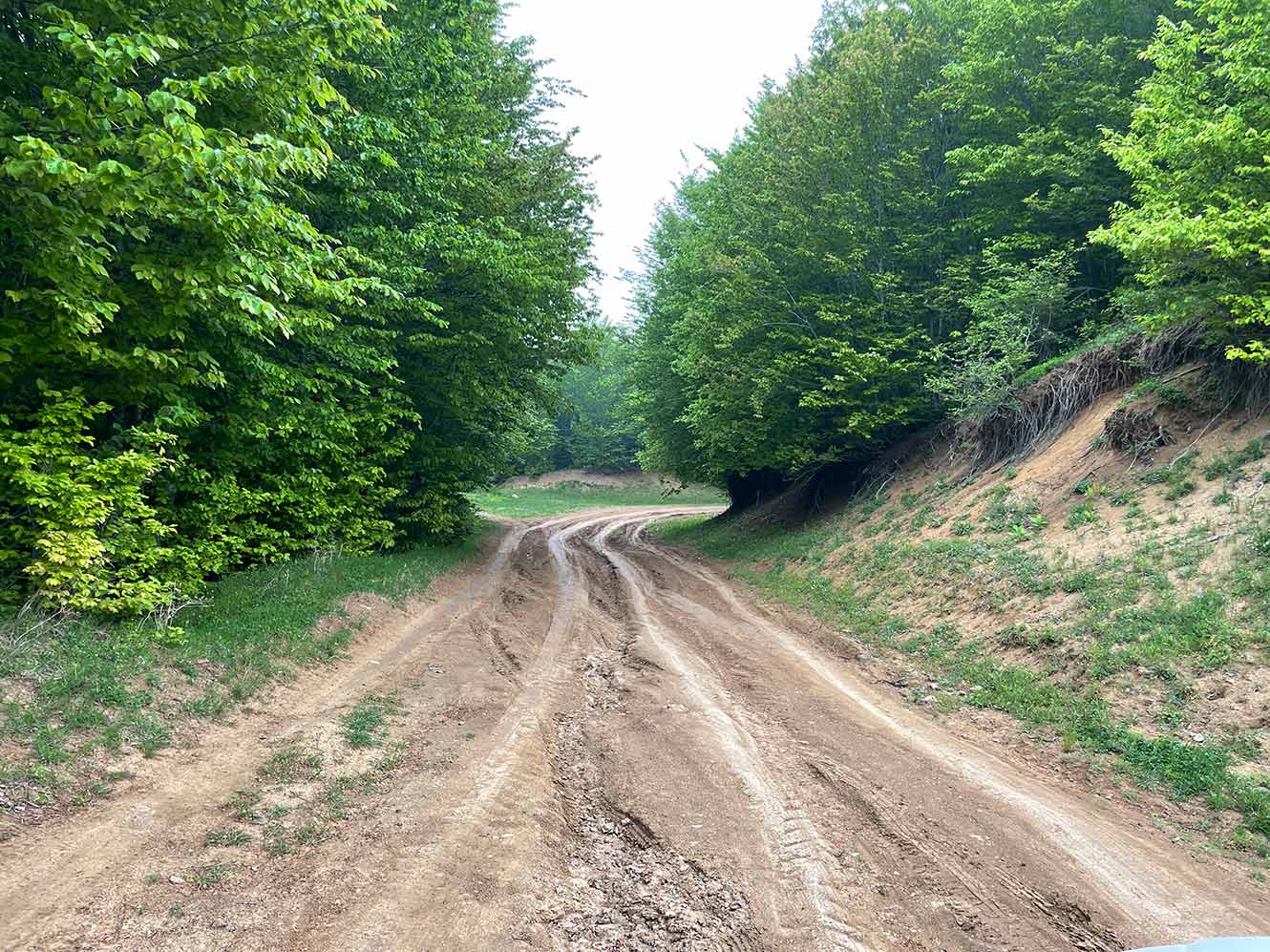 ویستان